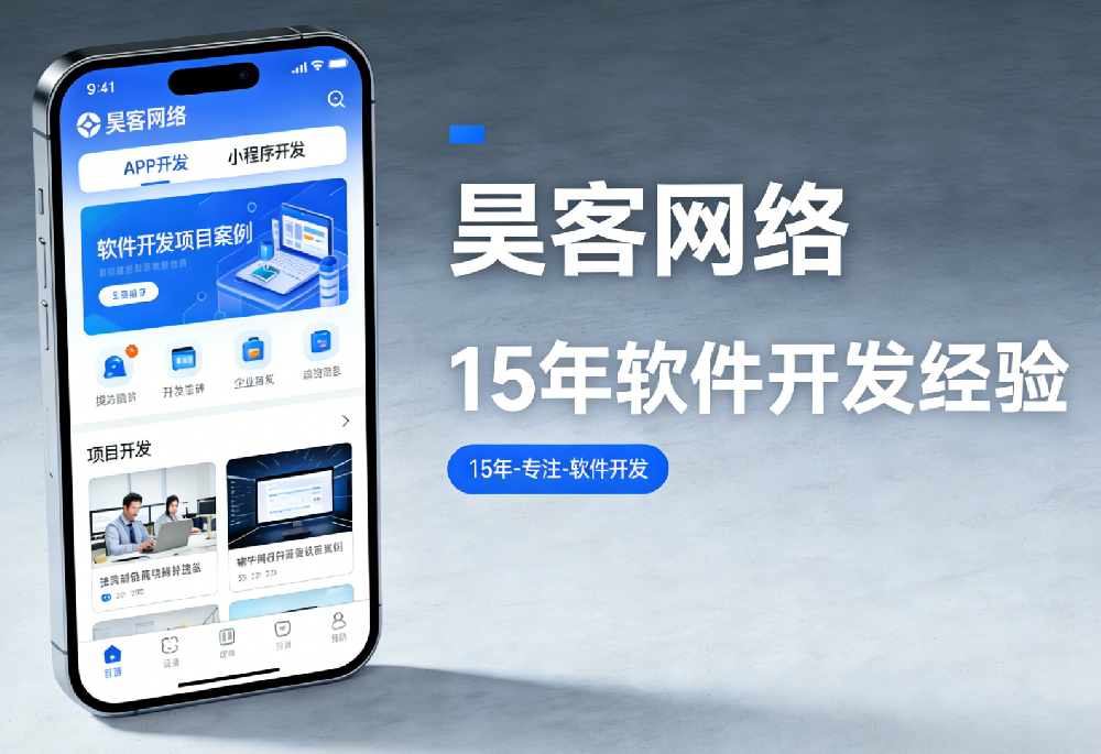 APP开发/微信小程序软件开发服务商/公司测评：2026年五大维度选型指南